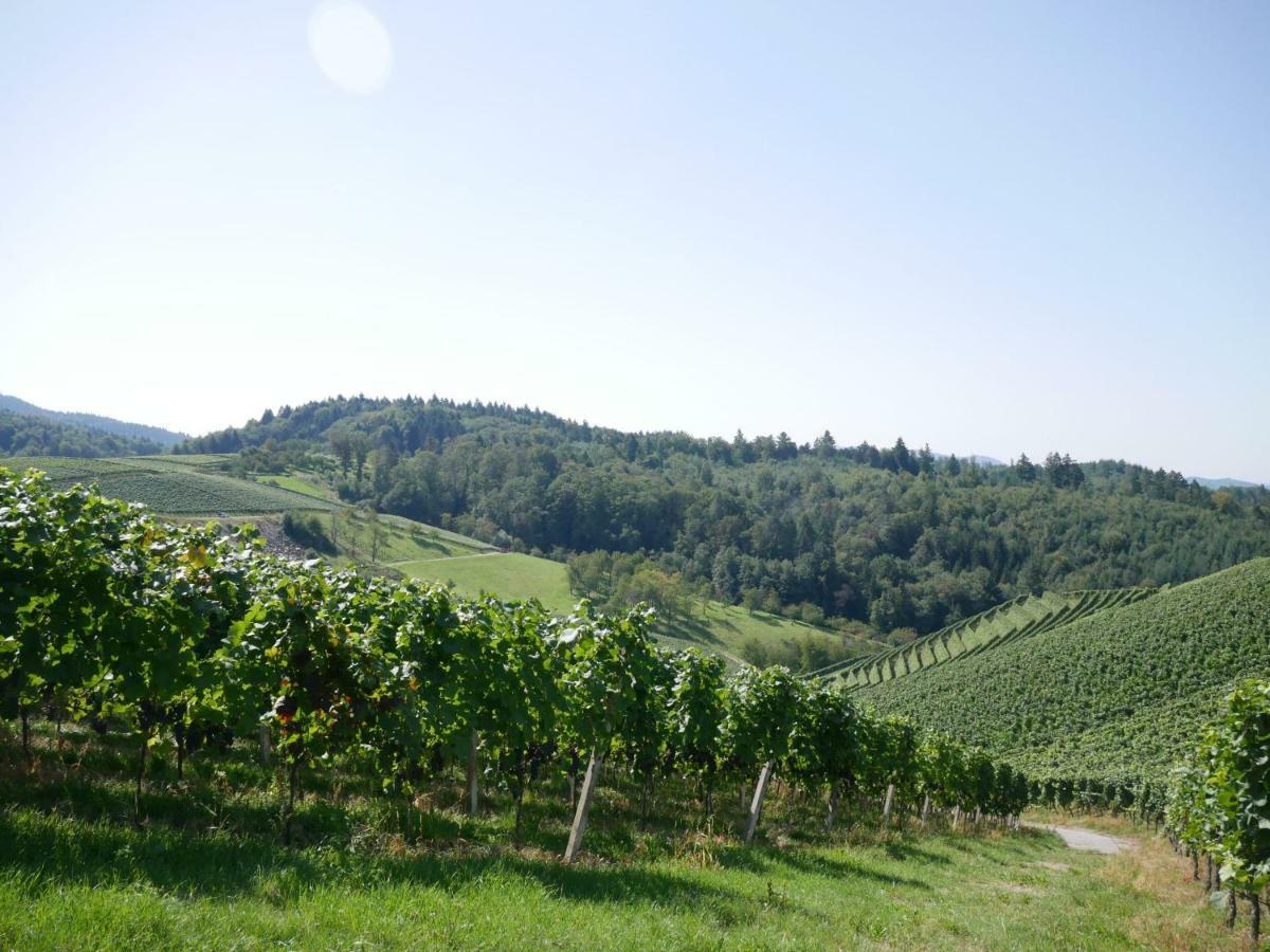 Ferienwohnung Kirschbluete Mosbach  外观 照片